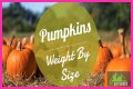 How Much Does Pumpkin Make Per Episode On Mama June?